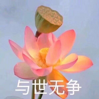 巫婆/红红火火 心平气和 好运莲莲
