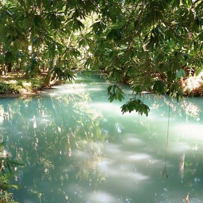 夏天的味道（绿色系头像 背景图）