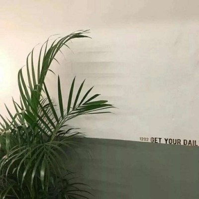 夏天的味道（绿色系头像 背景图）