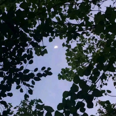 允言/背景/把黑夜交给星光，把心跳交给脸红。