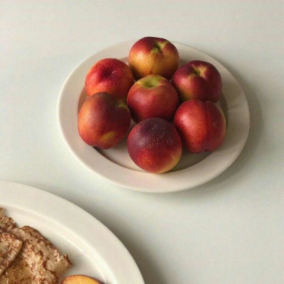 云曦/INS风背景图/桃李满天下