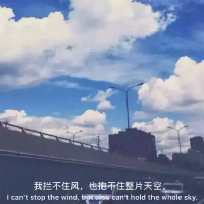 玫瑰虽好终究带刺