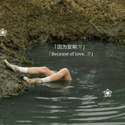 玫瑰虽好终究带刺
