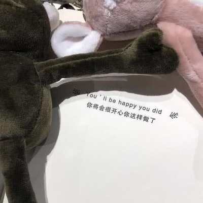 玫瑰虽好终究带刺