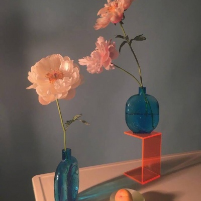 少女与花  念七