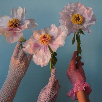 少女与花  念七