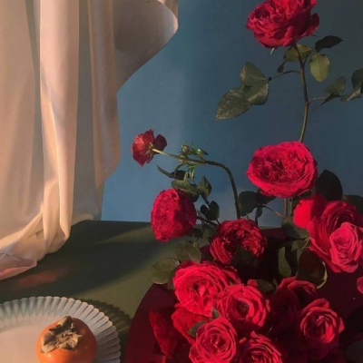 少女与花  念七
