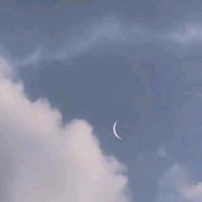 巫婆:背景图/当你放弃我的时候你就别打算我还会记得你