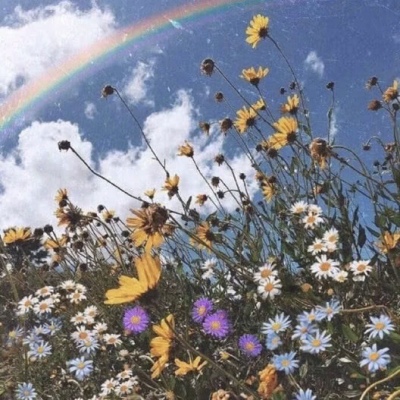 花 背景图