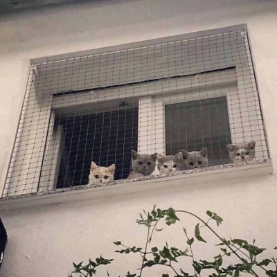暖系朋友圈背景图?.