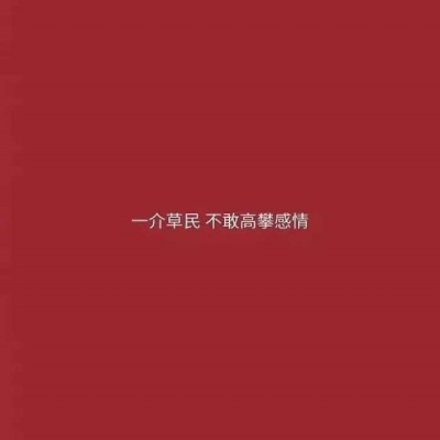 红色的夏天/唯美而不失味道