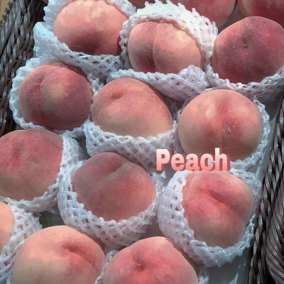江奕/美食背景图朋友圈壁纸/要星光要月亮 要世界投降 更要在你身旁 ?
