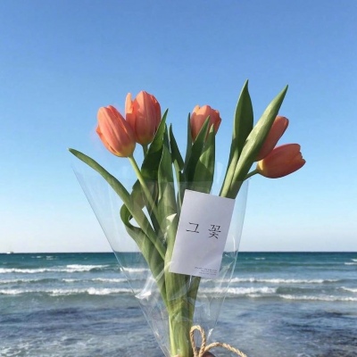 | 治愈系花束 |