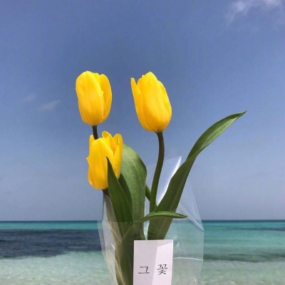 | 治愈系花束 |