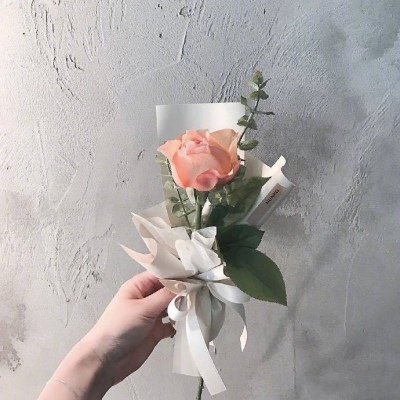 | 治愈系花束 |