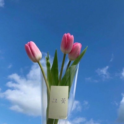 | 治愈系花束 |