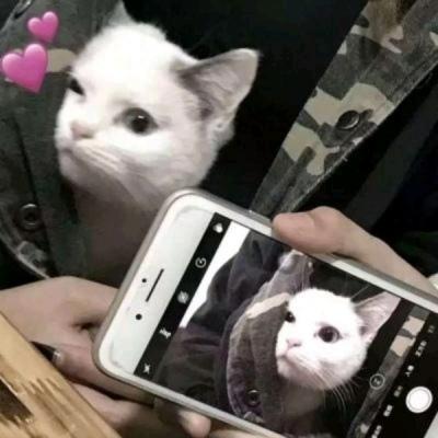 背景图 爱而不得 痴心妄想 还是放弃