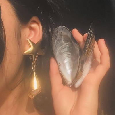 你是人间的星光照亮平庸的我