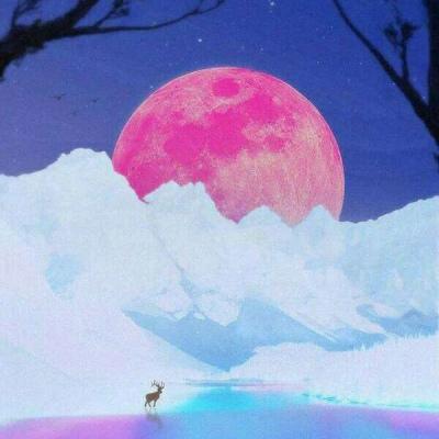 你是人间的星光照亮平庸的我