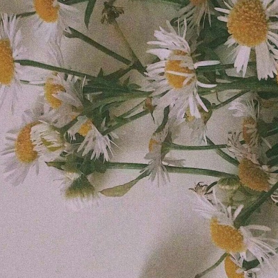 鹿十七/优质背景图/愿喜/常来/十七爱你ouo
