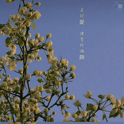 鹿十七/优质背景图/愿喜/常来/十七爱你ouo