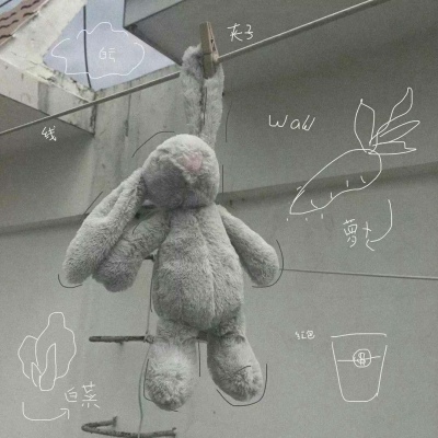 鹿十七/优质背景图/愿喜/常来/十七爱你ouo