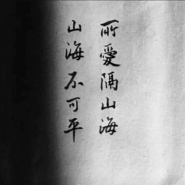 /背景/什么风把你吹来了