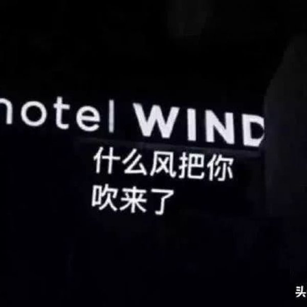 /背景/什么风把你吹来了