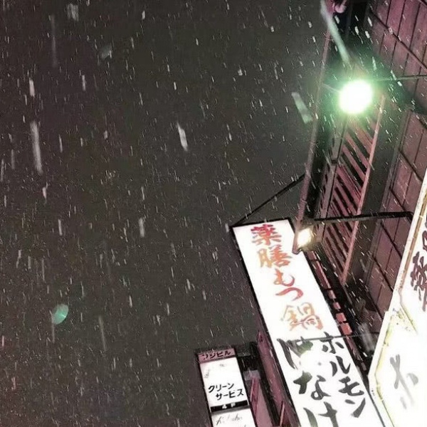 /背景/什么风把你吹来了