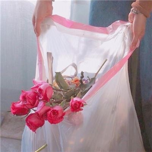 风景静物  茶儿.  敬她岁月无波澜 敬我余生不悲欢