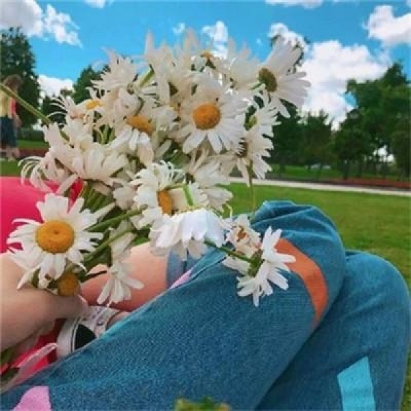 风景静物  茶儿.  敬她岁月无波澜 敬我余生不悲欢