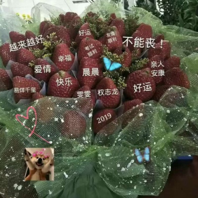 草莓粥：宝藏背景图（5）