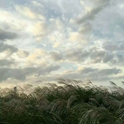 安奈 ins浅色系头像 不想跟你看同一个月亮了 想和你一同看月亮