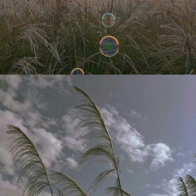 林七七/背景图/ 有得也有失，生活就是如此。