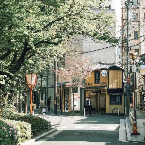 清秋/唯美日本风情.有人终生怀念某一年夏天