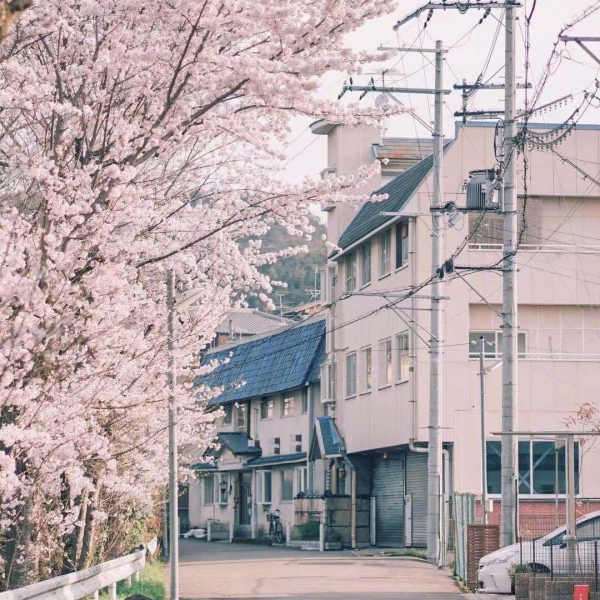 清秋/唯美日本风情.有人终生怀念某一年夏天