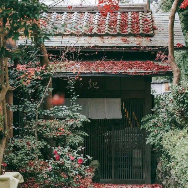 清秋/唯美日本风情.有人终生怀念某一年夏天