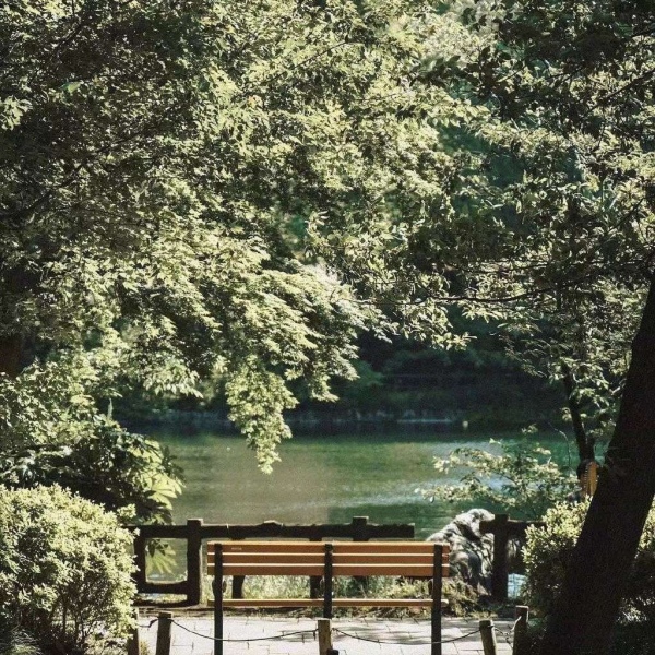 清秋/唯美日本风情.有人终生怀念某一年夏天