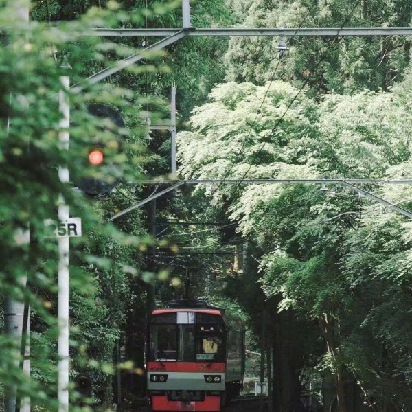 清秋/唯美日本风情.有人终生怀念某一年夏天