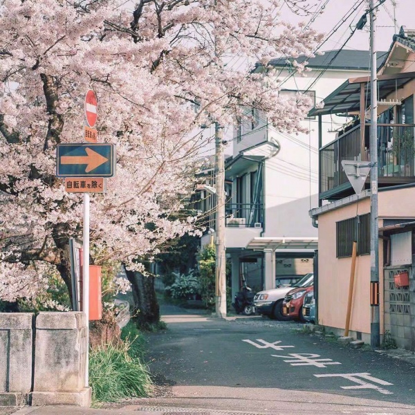 清秋/唯美日本风情.有人终生怀念某一年夏天
