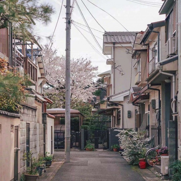 清秋/唯美日本风情.有人终生怀念某一年夏天