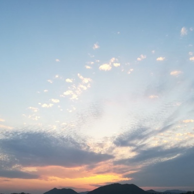 杂背景图/近来很忙，但爱你还是心头事
