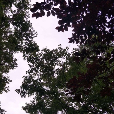杂背景图/近来很忙，但爱你还是心头事
