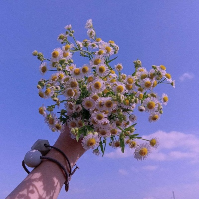 杂背景图/近来很忙，但爱你还是心头事