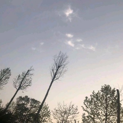 允言/精致背景/人言可畏 最致命