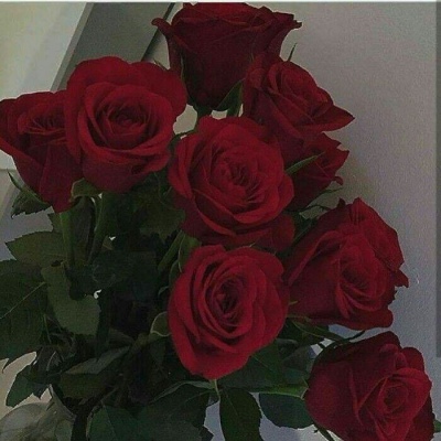 十里：花朵头像    似星非星 光芒灿烂