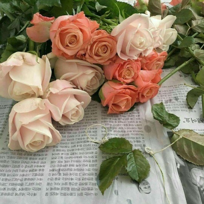 十里：花朵头像    似星非星 光芒灿烂