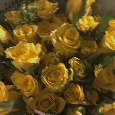 十里：花朵头像    似星非星 光芒灿烂