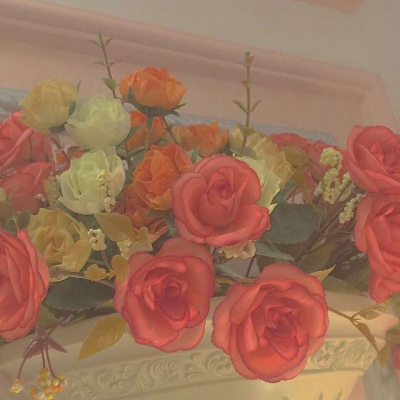 春天/花朵/风景 唯美意境背景图