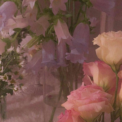 春天/花朵/风景 唯美意境背景图